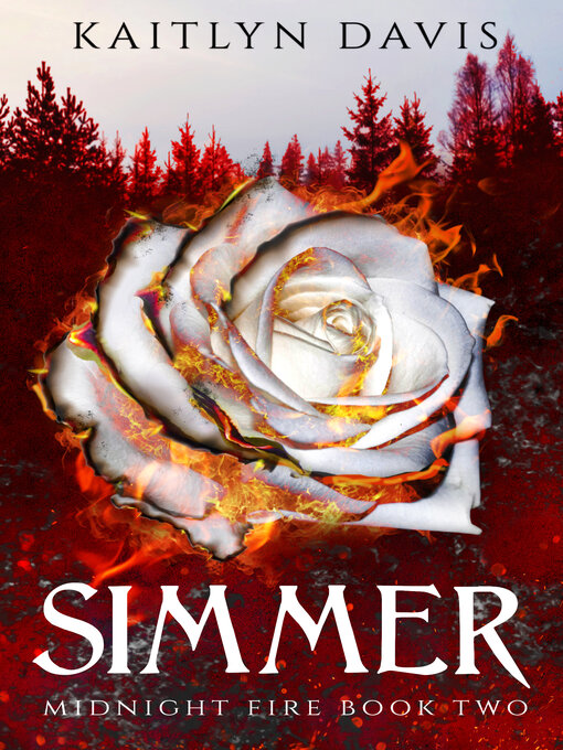 Title details for Simmer by Kaitlyn Davis - Available